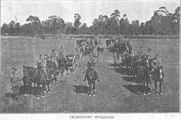 Transport Wagons
