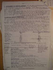 12th Australian Light Horse Regiment Routine Order No. 89, 10 January 1919, p. 2 