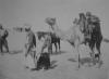 Bedouins from Fatir