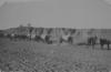 3rd LHFA Camp in Wadi Saba, November 1917
