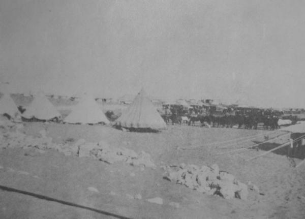 Ballybunion, Sinai, July 1916. 