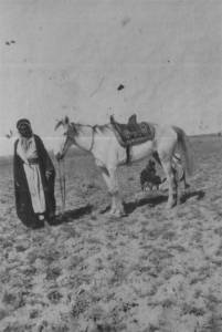 Arab and horse