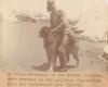 South Australian Mounted Rifles