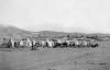 Capetown Highlanders, 