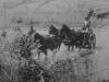 Crossing a ford through the Jordan River near Jisr Benat Yakub, 27 September 1918