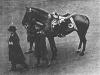 Thomas Secrett at Haig's Funeral, 1928.