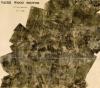 Vaire Wood Sector Composite Aerial Photographic Map