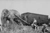 Wirth's Circus elephant pulling carriage at Lismore