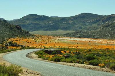Road between Concordia and O'okiep (O'Kiep) 