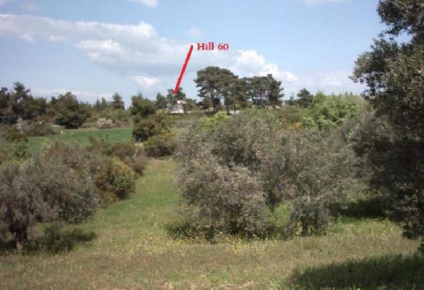 Hill 60, photograph, 2