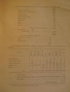 Man-Power in Egypt, Report, 17 May 1917, Page 21 