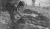 After the battle of Romani Anzac dead